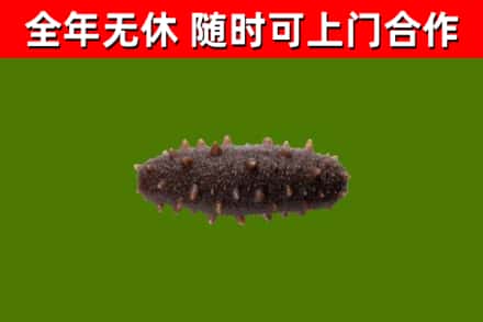 永胜烟酒回收干海参.jpg
